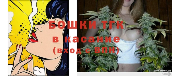 спиды Киреевск