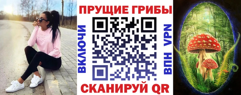 Галлюциногенные грибы мицелий  Купить закладки  Курчатов 